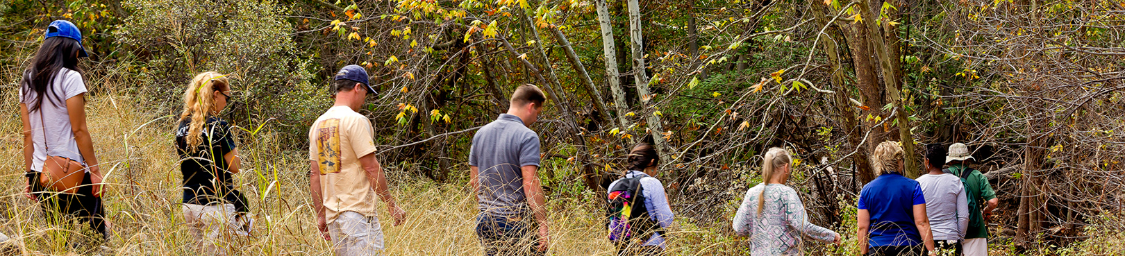 A group of hikers on a trail lined with tall grass adjacent to an Arizona riparian zone