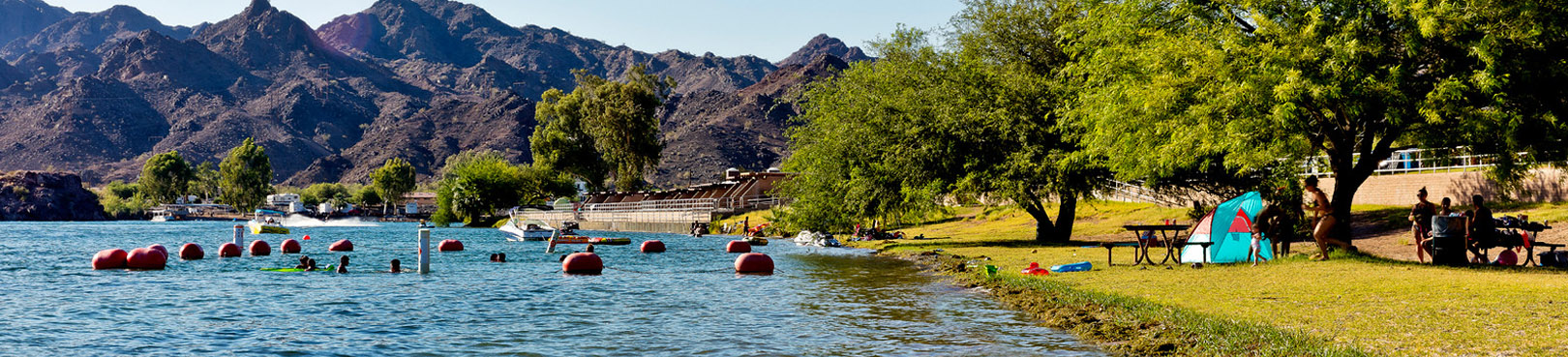 A view of the swimming area surrounded by orange buoys at Buckskin Mountain. People are swimming in the river and picnicking on shore under a shade tree.