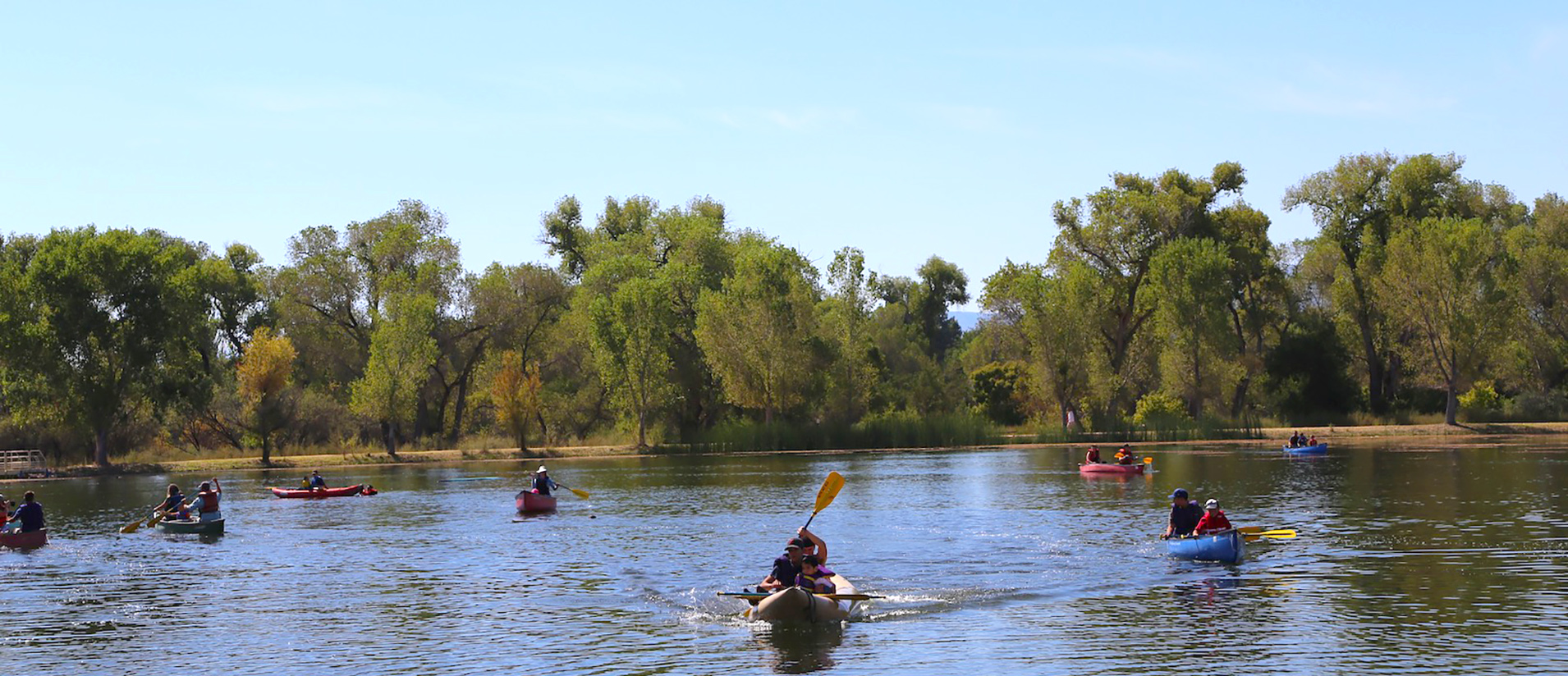 Canoes floating in a pond at the park.