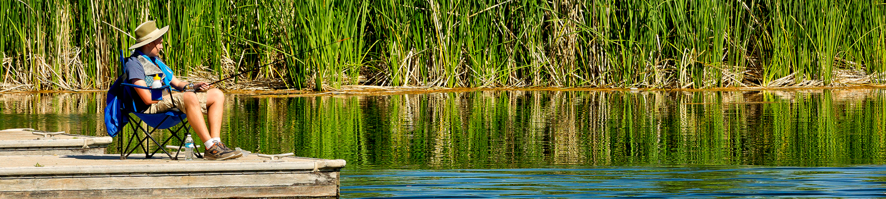A person with a wide brimmed hat fishing from a wooden dock with thick aquatic vegetation lining the lagoon.