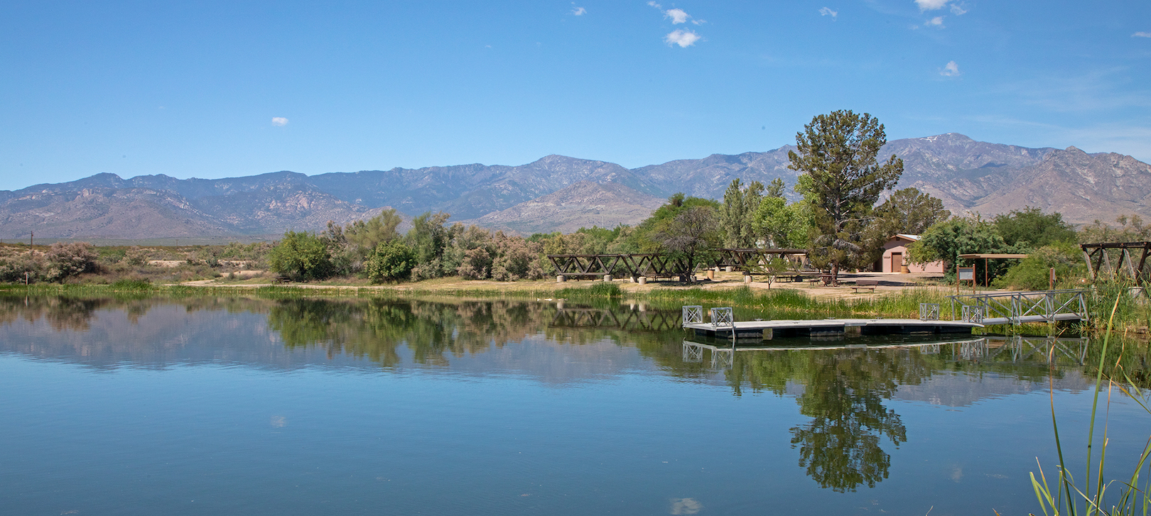 The view over the water at Dankworth Pond State Park