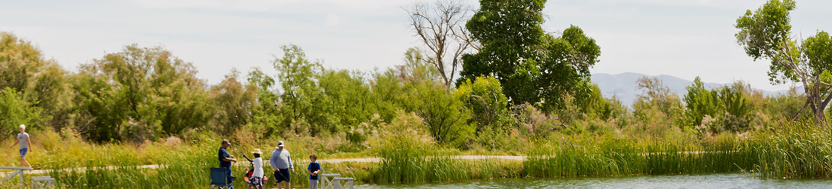 A family is seen in the distance enjoying their day at a picnic table on the shore of Dankworth Pond.