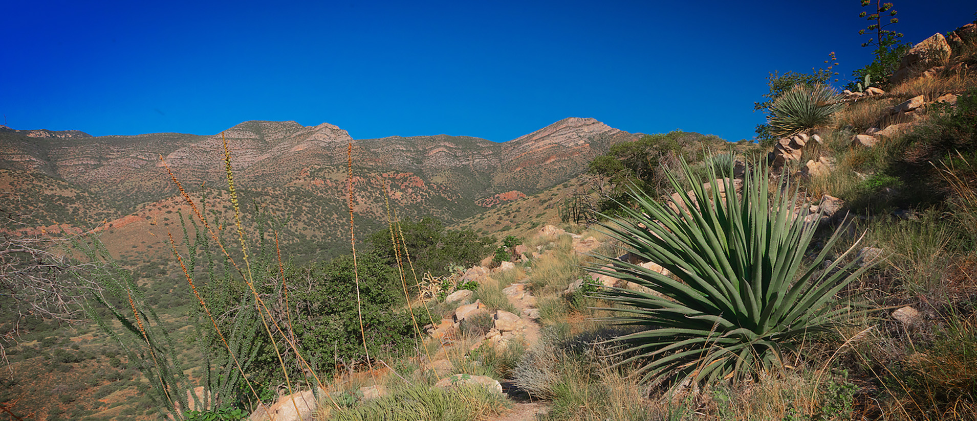 The trails and vegetation at Kartchner Caverns State Park