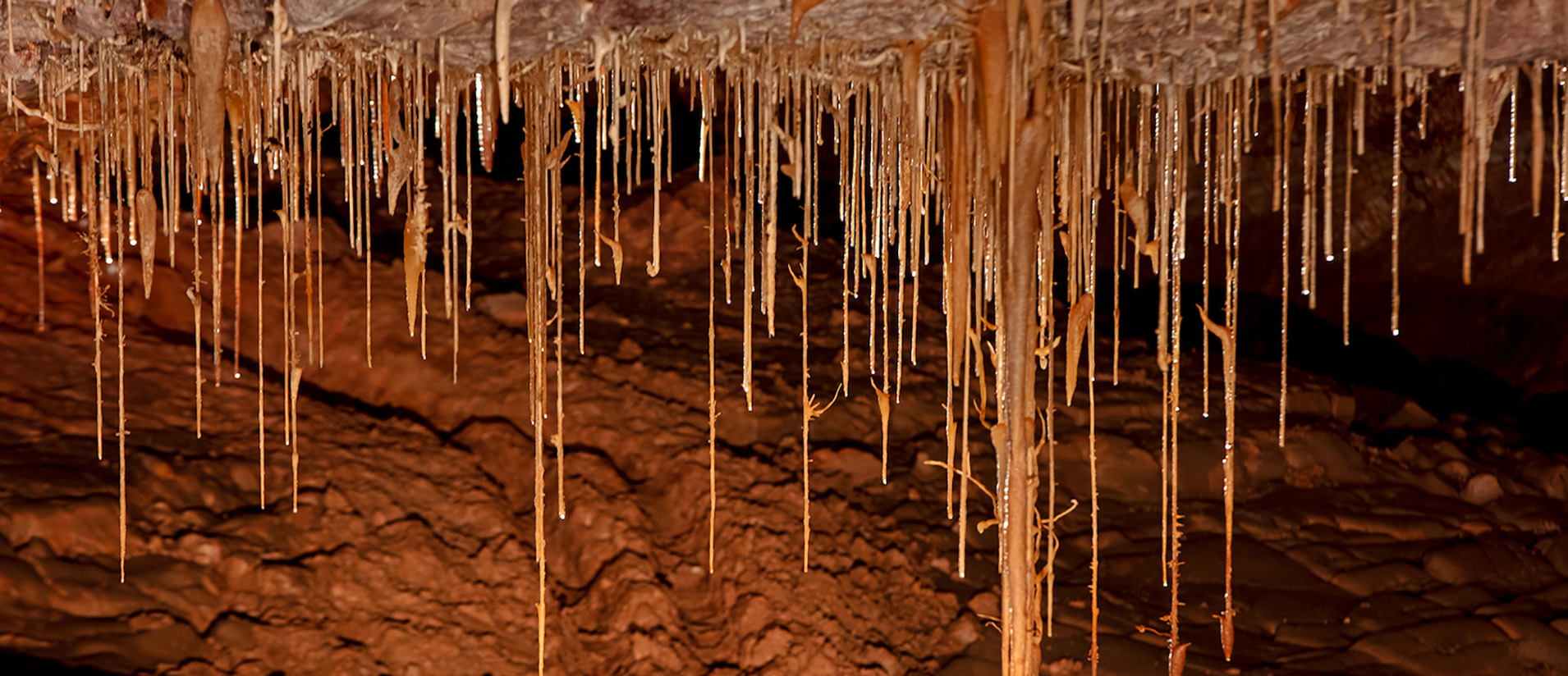 Soda straw formations in the cave at Kartchner Caverns State Park