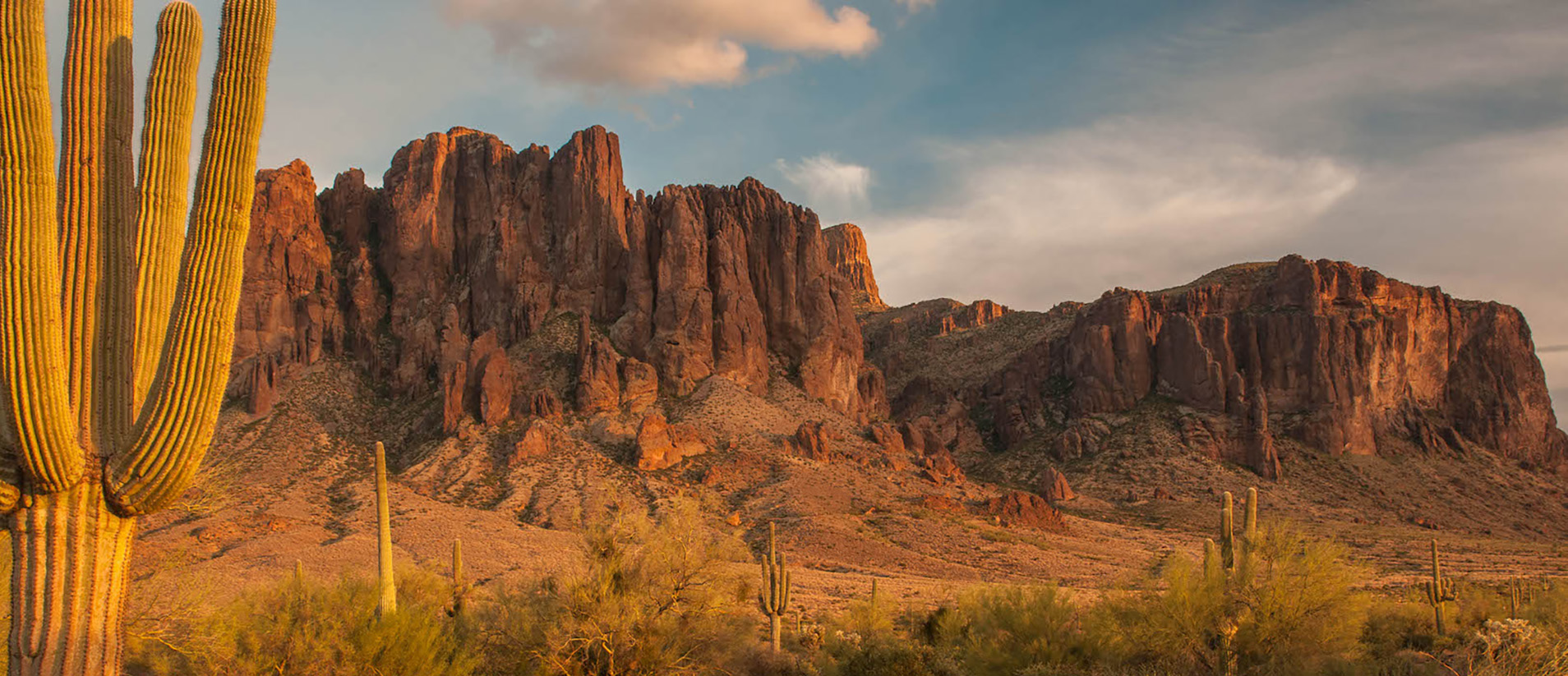 A view of the Superstition Mountains with a saguaro in the foreground