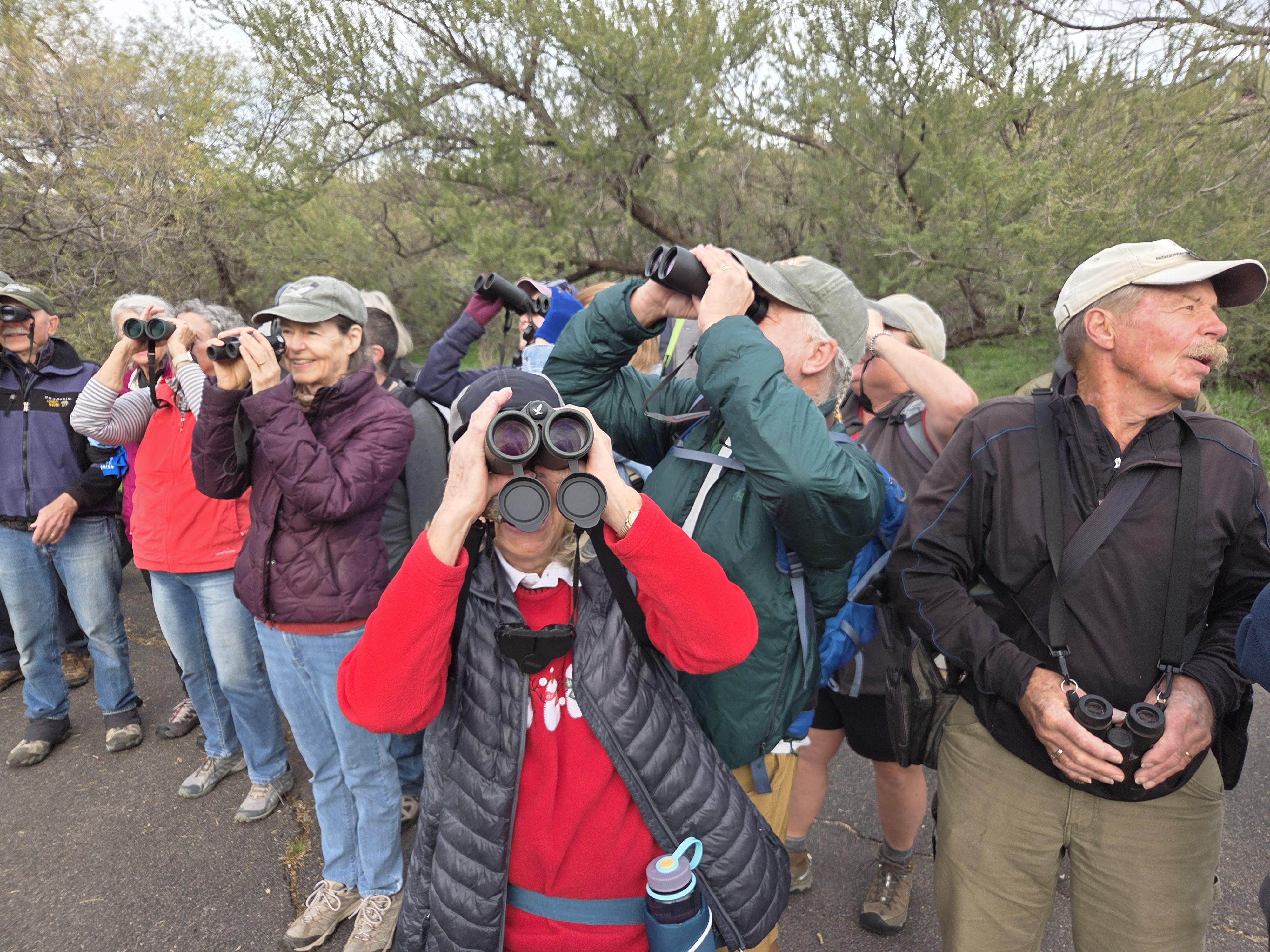 A group of birders with binoculars at Catalina State Park