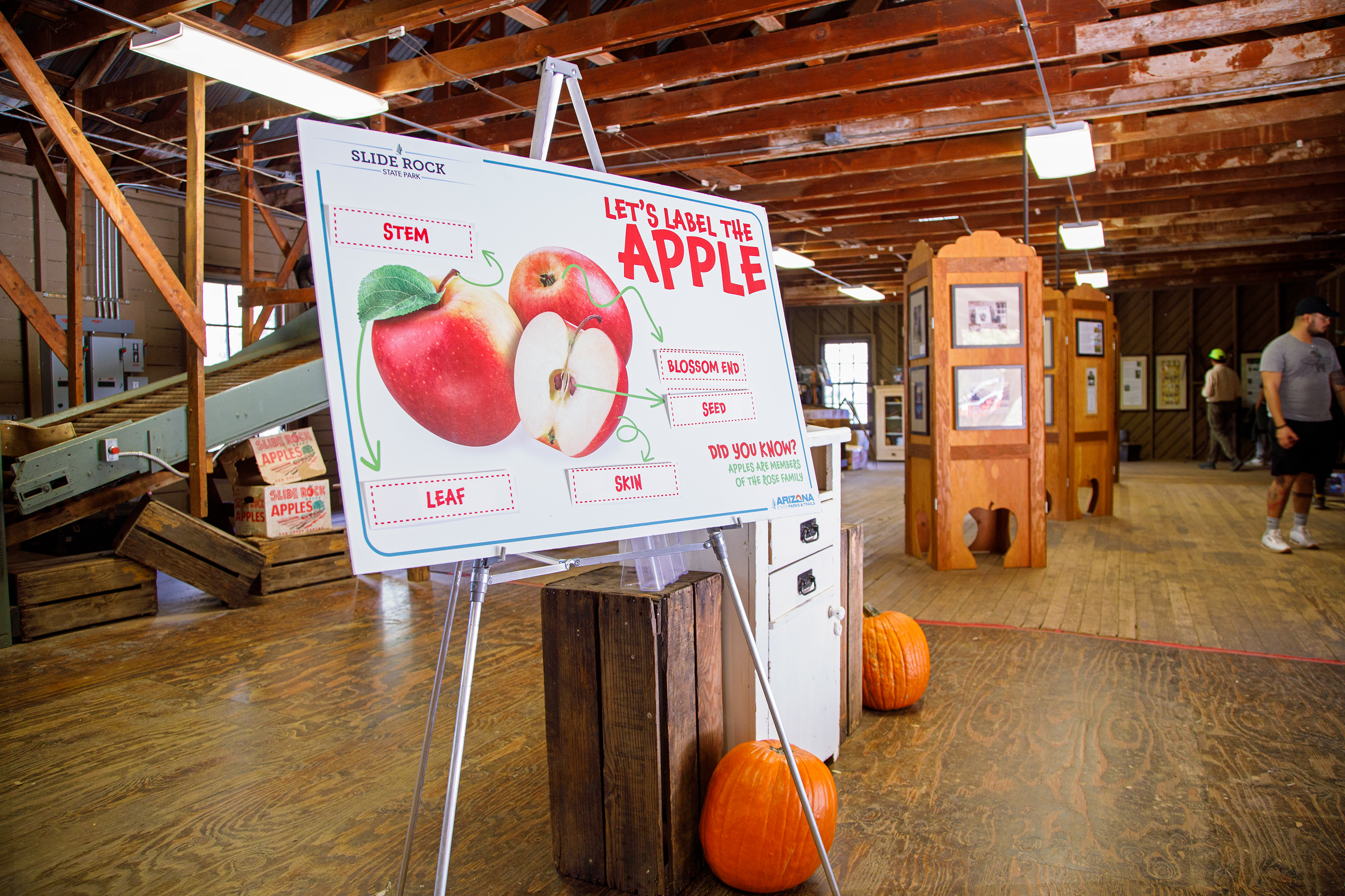 A photo of a barn with displays, antique equipment, and an interactive board that reads "Let's label the apple."