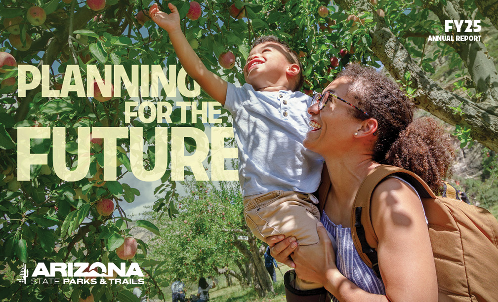 The fiscal year 2025 annual report cover, titled Planning for the Future