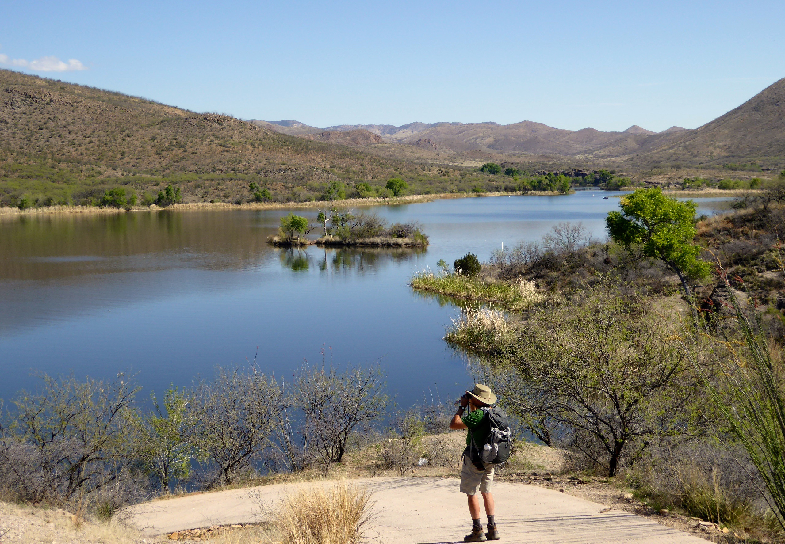 A hiker overlooks the lake at Patagonia Lake State Park
