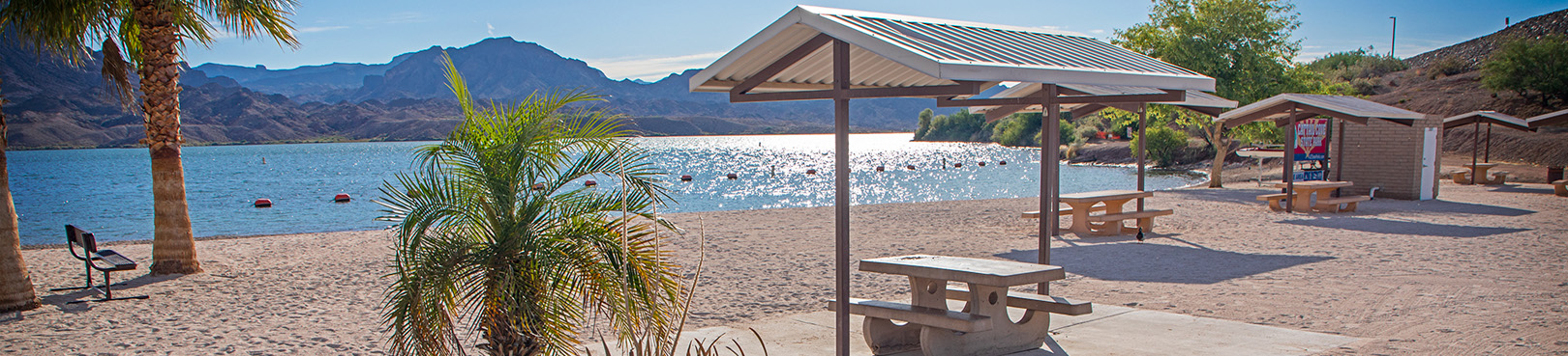 A tropical setting on the beach at Cattail Cove. Palm trees, picnic tables, and white sand on the shore of Lake Havasu!