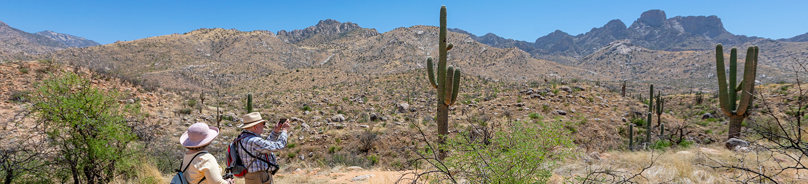 Hikers on the trail at Catalina State Park