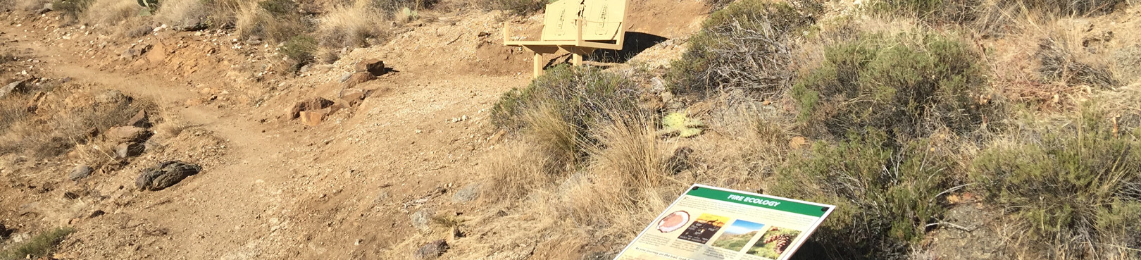 Interpretive signs and benches are available along the trails and installed amid the desert rocks and vegetation..