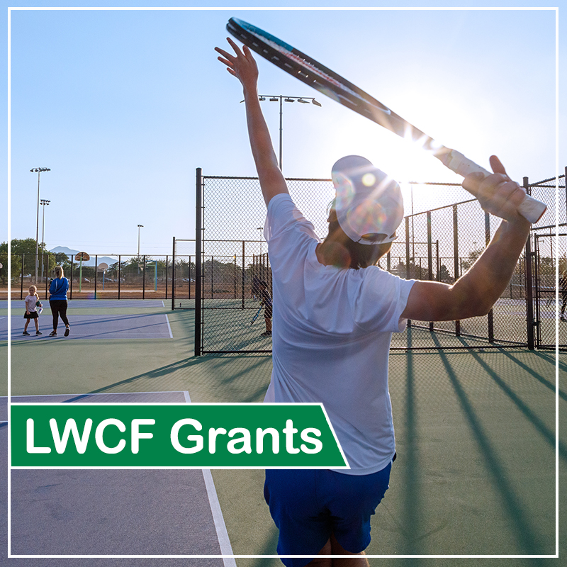 Explore the Catalina Mountains