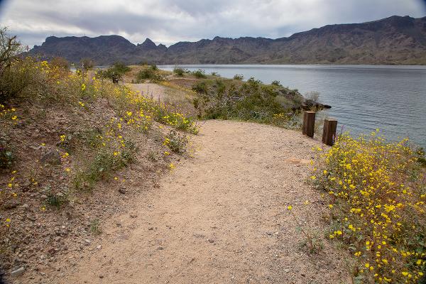 Plenty of scenic trails here! Hiking trails along the Colorado River