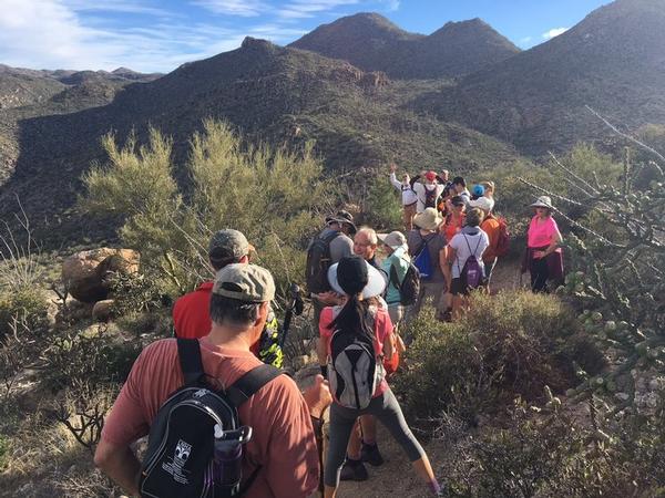 WIld Burro Trail Marana, AZ