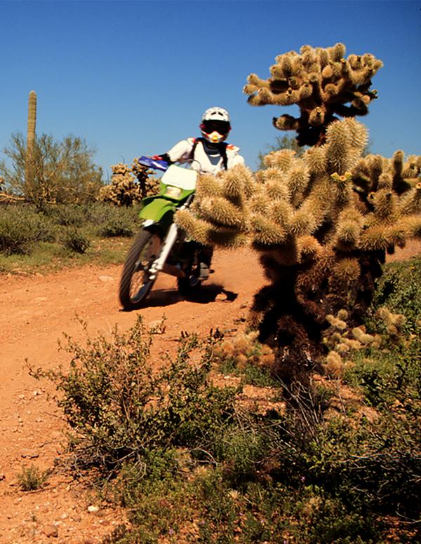 A person on a dirt bike along Alamo Lake State Park OHV Trails. 