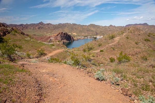 A view of the Buckskin Mountain Trails overlooking the water