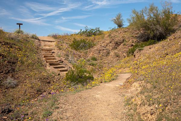 Hiking Trails at Buckskin Mountain State Park