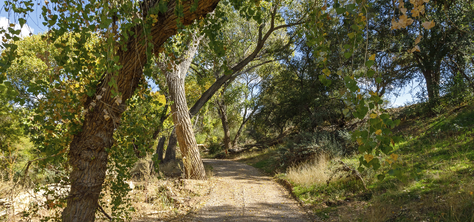 A dirt trail winds through Rockin' River Ranch State Park