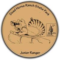 Junior Ranger Button featuring Rocky Ringtail