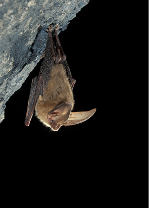 Event Featured Image